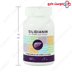 Silydianin Adib Exir