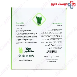 Horsetail Herbal Topical Liquid ZARDBAND