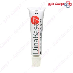 DinaBase 7