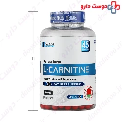 Istela L Carnitine Istela Nutrition