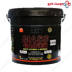 Mass Gainer P And F Pharma