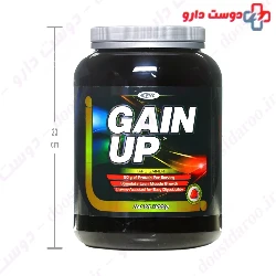 Gain UP Hard Gainer PNC