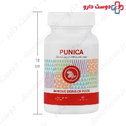 Punica Adib Exir