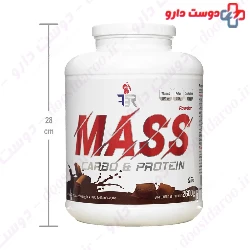 Mass 2600 g FBR