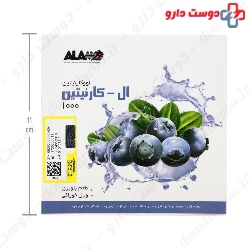 Alamo L Carnitine 1000