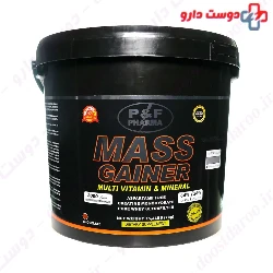 Mass Gainer P And F Pharma