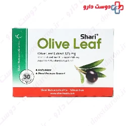 Olive Leaf Shari