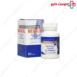 Shahre Daru Megacal 60 Capsule