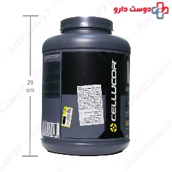 Whey Protein Cor Performance Cellucor