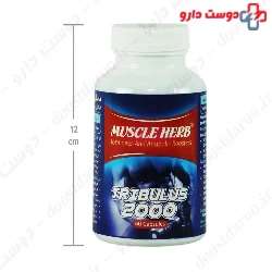 Muscle Herb Behta Daru