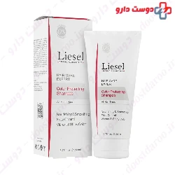 Liesel Color Protecting Shampoo