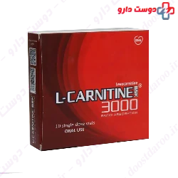 BSK L Carnitine BSK 3000