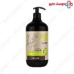 Olive Oil Shampoo For Curly And Frizzy Hair Schon