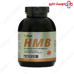 Viva Power HMB 90 Capsules