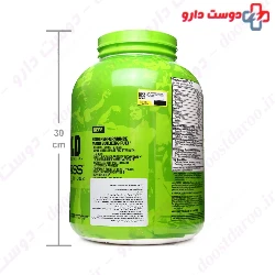 Arnold Iron Mass Weight Gainer MusclePharm
