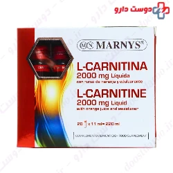 Alamo L Carnitine 2000 Mg 10 Vials