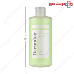 Greasy Hair Daily Fortifier Shampoo Dermalog