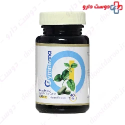 Nahal Sabz Salamat Gymnema 40 Tablet
