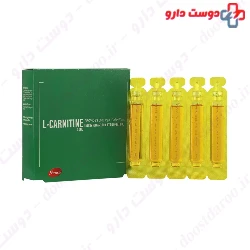 Norm Life L Carnitine 3000 10 Single Dose Vials