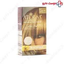 Atousa Royal Hair Color Kit