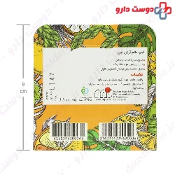 RNJ Lip Balm Stick Reyhan Naghsh Jahan