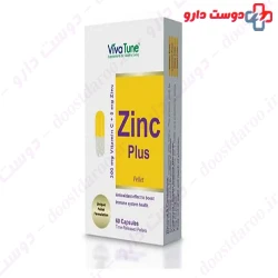 Zinc plus 60 Capsule VivaTune