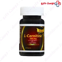 L Carnitine 500 mg 30 Support Nutrition