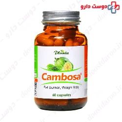 Cambosa Planta