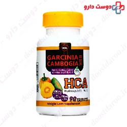 BSK Garcinia cambogia HCA 90 Tabs
