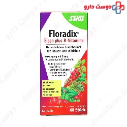 Eisen Plus B vitamins Floradix