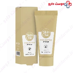 Shea Butter Lip Balm Skin Chic
