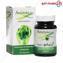 Artichoke Sina Sinafaravar