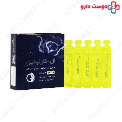 Norm Life L Carnitine 1000 Mg 10 Single Dose Vials