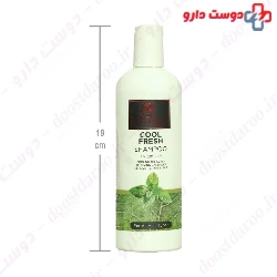 Cool Fresh Coliong The Scalp Shampoo Fabregas