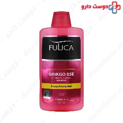 Ginkgo B5E Shampoo For Frizzy And Curly Hair Fulica