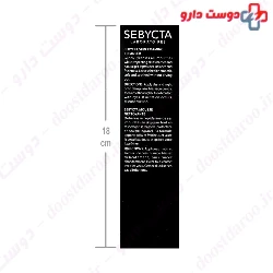 Sebycta Skin Foaming Cleanser