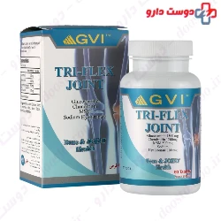 GVI Tri Flex Joint 60 Tablet
