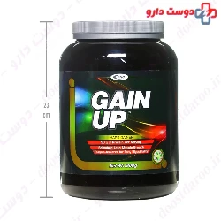 Gain UP Hard Gainer PNC