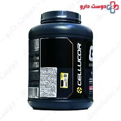Cor Performance Gainer Cellucor
