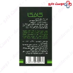 Sagepad Darou Green Coffee L Carnitine 60 Capsules