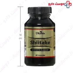 Shiitake Planta