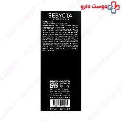 Sebycta Skin Foaming Cleanser