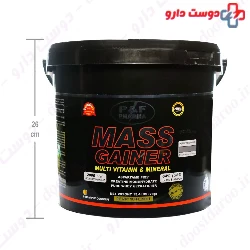Mass Gainer P And F Pharma