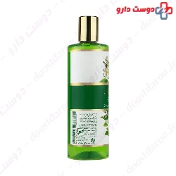 Green Tea Greasy Hair Shampoo Jiwana