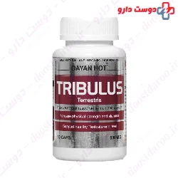 Tribulus Dayan Hot Dayan pharma
