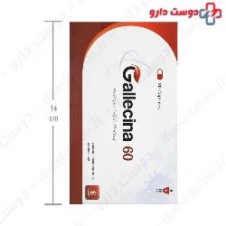 Gallecina 60 Samisaz