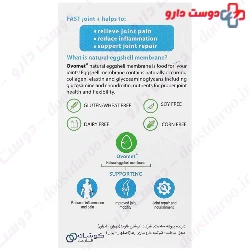 Fast Joint Plus Koushan Pharmed