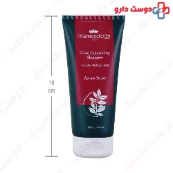 Color Enhancing Shampoo For Color Treated Hair Cosmecology