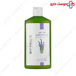Lavender Extract Sebum Regulator Shampoo Dermangeline