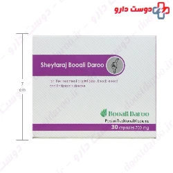 Sheytaraj Booali Daroo